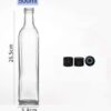 Bouteille 500ml carré - Carton 50 unités