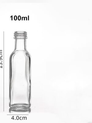 Bouteille 100ml carré - Carton 120 unités